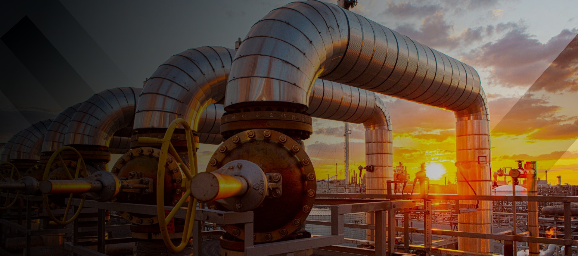 Novachem Aromatici Ricerca Prodotti